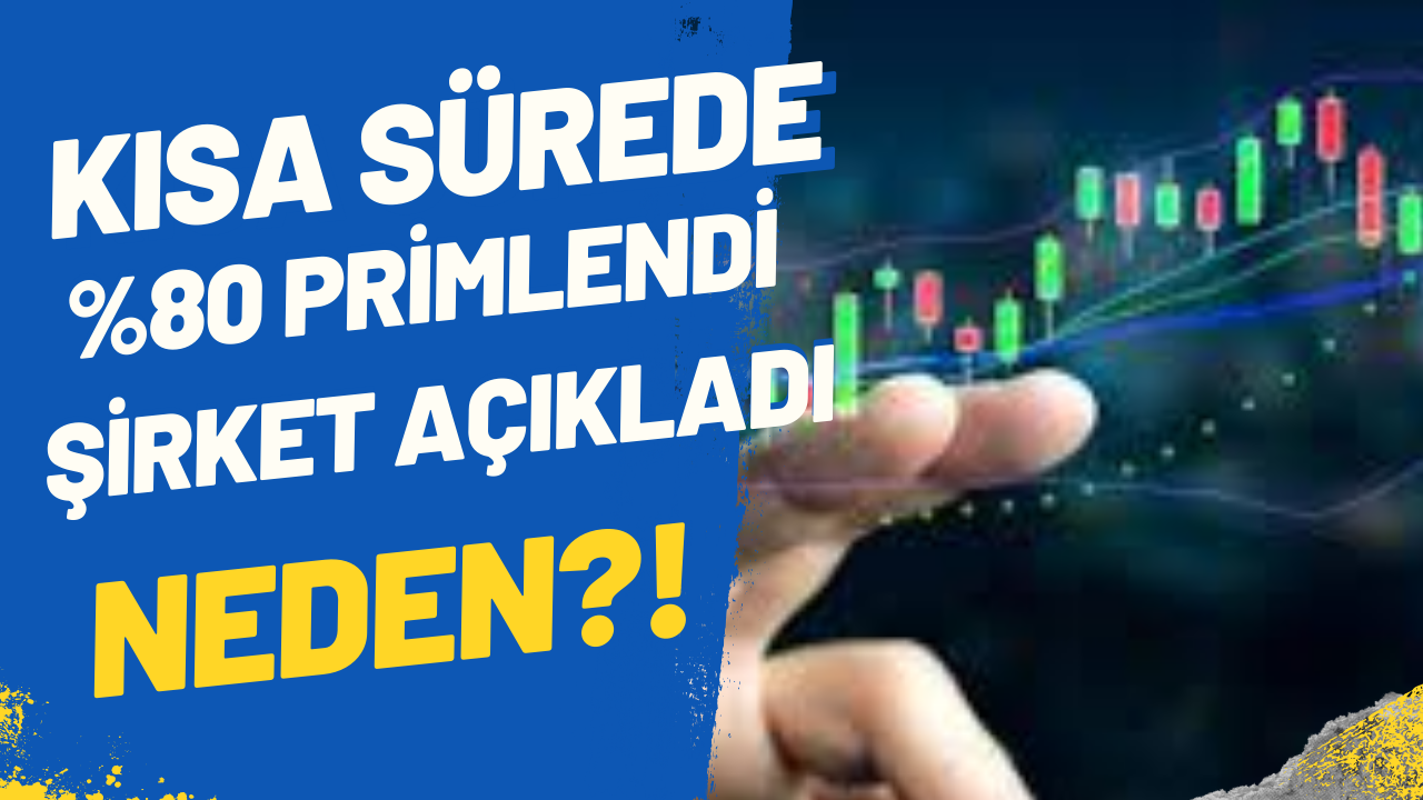 Hisse yükseldi Borsa İstanbul şirketten açıklama istedi!