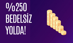 %250 Bedelsiz Yolda! SPK Onayladı