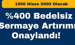 100 Lotunuz 500 Lot Olacak! Dev Ambalaj Şirketi Bedelsiz Açıkladı: Hisse Tavan Mı?