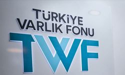 Türkiye Varlık Fonu Nedir? Ne İşe Yarar, Borsada İşlem Gören Şirketler