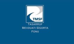 TMSF Başkanı Muhittin Gülal'dan halka arz açıklaması