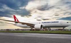 Turkish Cargo'nun dijital çözüm ortağı "CARGY" hizmete girdi