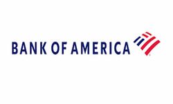 Bank Of America Türk Bankalarına Yeşil Işık Yaktı