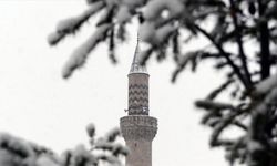 Doğu Anadolu'da 4 il kar yağışıyla beyaza büründü