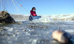 Buz tutan Çıldır Gölü'nde Eskimo usulü avcılık başladı