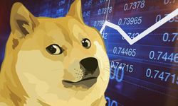 Dogecoin’in ortaklarından Markus, Yaklaşık 220 Bin DOGE Tutuyor!