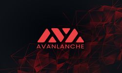 Avalanche (AVAX) için Deloitte ortaklığı  riskleri artırıyor!
