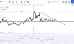 Aragon düşeni kırdı !