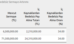 Halka arz olan hisse bedelsiz kararı verdi! Hisse 4 kat arttı!