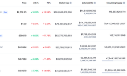 Coinmarketcap'te neler oluyor? Bitcoin yok oldu!