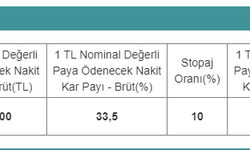 Temettü veren şirketler Dağıtım oranı: %30 !