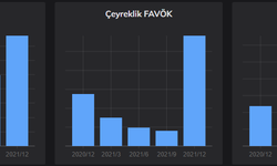 Çeyreklik karda rekor artış %11.000 Hissede hareketlilik!