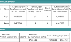 Bu şirketten son dakika temettü kararı! %2.25