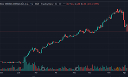 Borsa zirvede bu hisse tepetaklak! Yine taban oldu! Yatırımcılar şaşkın!