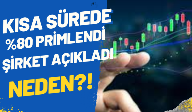 Hisse yükseldi Borsa İstanbul şirketten açıklama istedi!