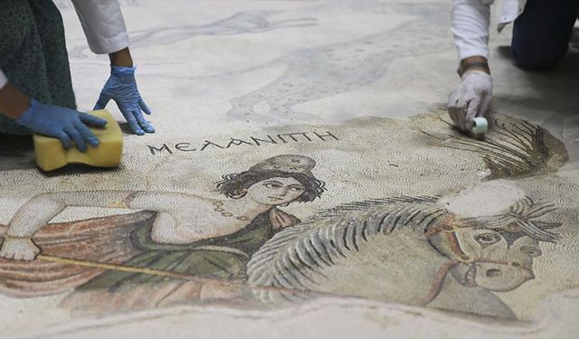 Şanlıurfa Arkeoloji Müzesi'ndeki nadide eserlere hassas koruma